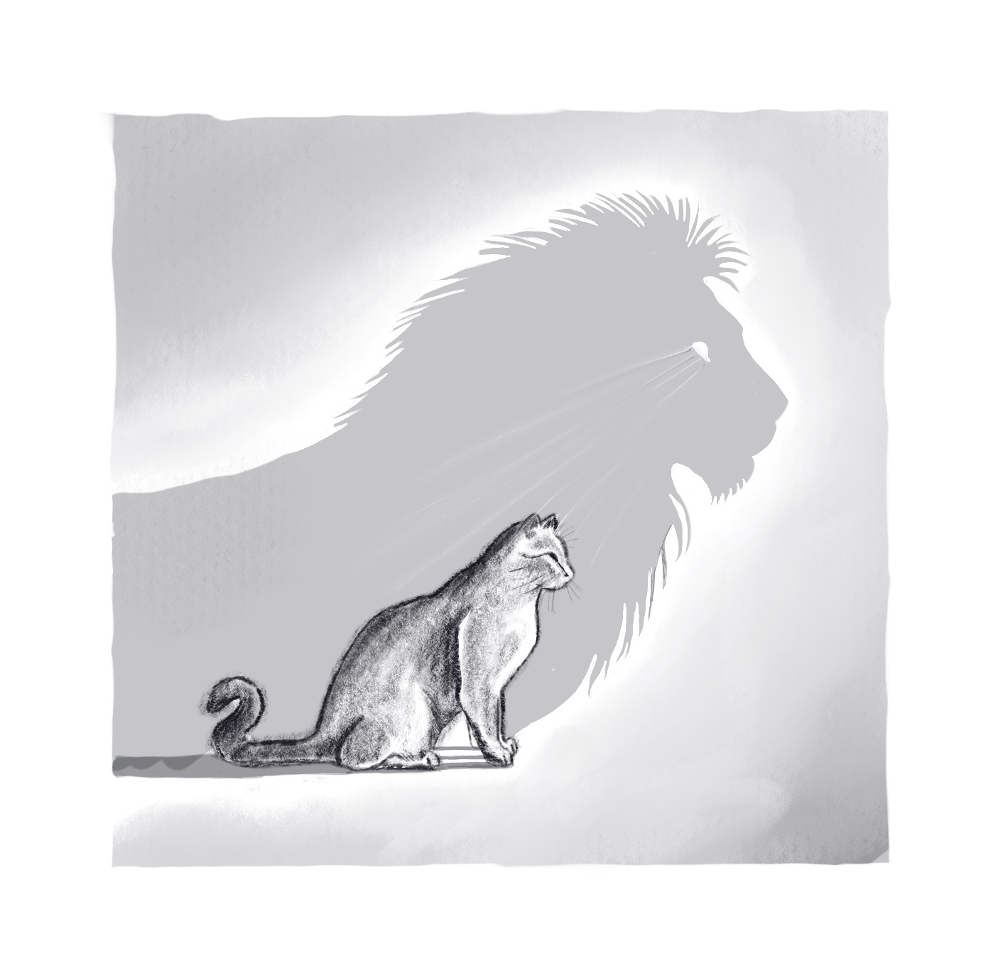 Kitty's Shadow